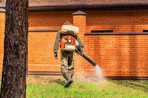 Top rated local Ant Control specialists in Pismo Beach, CA